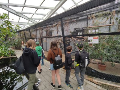 Wakacyjna AktywAKCJA z Domem Kultury